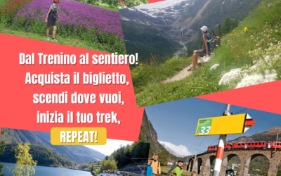 LE PIU’ BELLE FERMATE LUNGO LA LINEA DEL TRENINO ROSSO DEL BERNINA