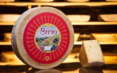 OTTOBRE DI GUSTO IN VALTELLINA: BITTO, MELE E CANTINE