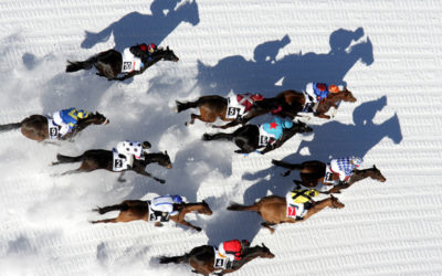 GITA CON IL TRENINO DEL BERNINA A ST. MORITZ PER LA WHITE TURF 2019