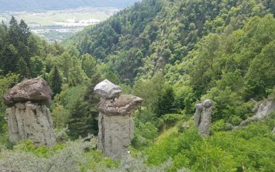 SCOPRI LA RISERVA NATURALE DI POSTALESIO
