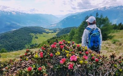 TREKKING IN VALTELLINA TRA BORGHI, VIGNE ED ALPEGGI