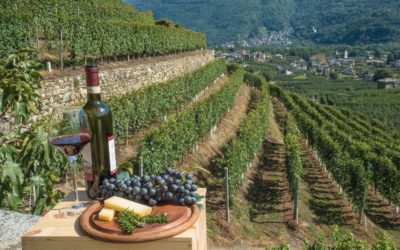 WINE TOUR 2021 IN VALTELLINA