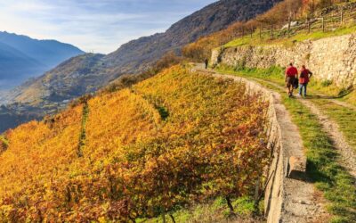 AUTUMN EXPERIENCE IN VALTELLINA