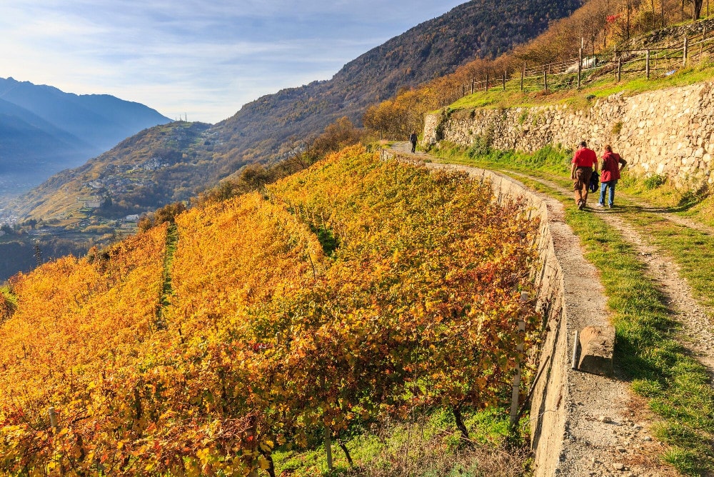 AUTUMN EXPERIENCE IN VALTELLINA
