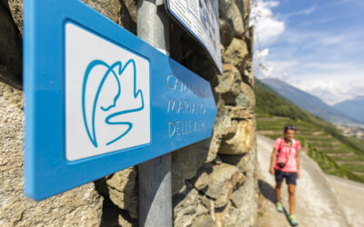 LA VALTELLINA COME COMPOSTELA: NASCE IL CAMMINO MARIANO DELLE ALPI
