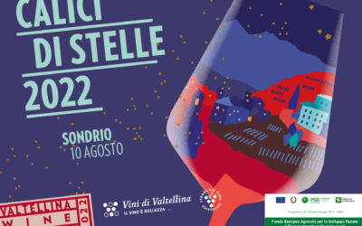 CALICI DI STELLE 2022