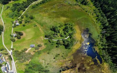 LA RISERVA NATURALE DI PIAN DI GEMBRO